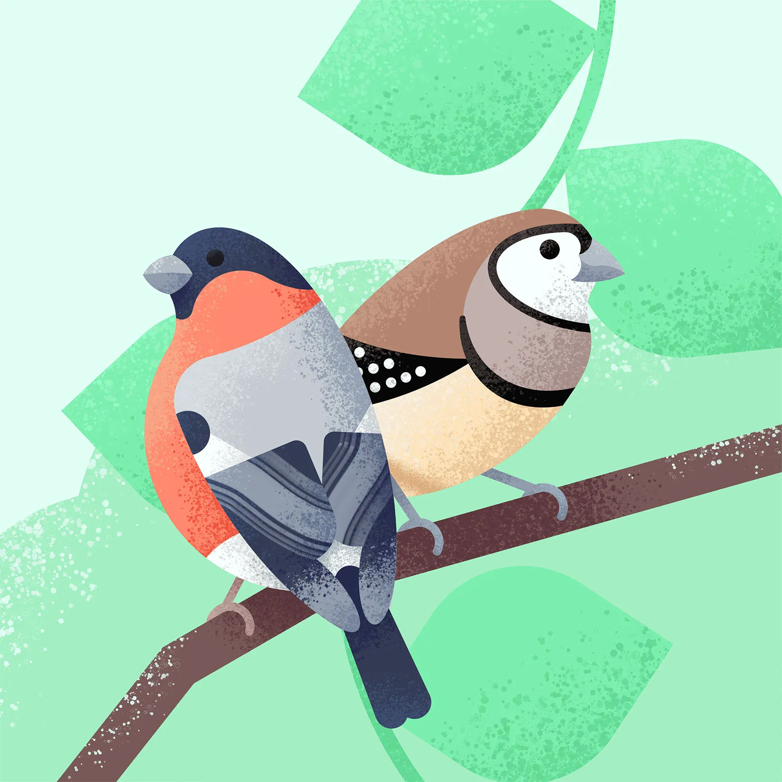 illustration of a eurasian bull finch and an owl finch sitting on a branch