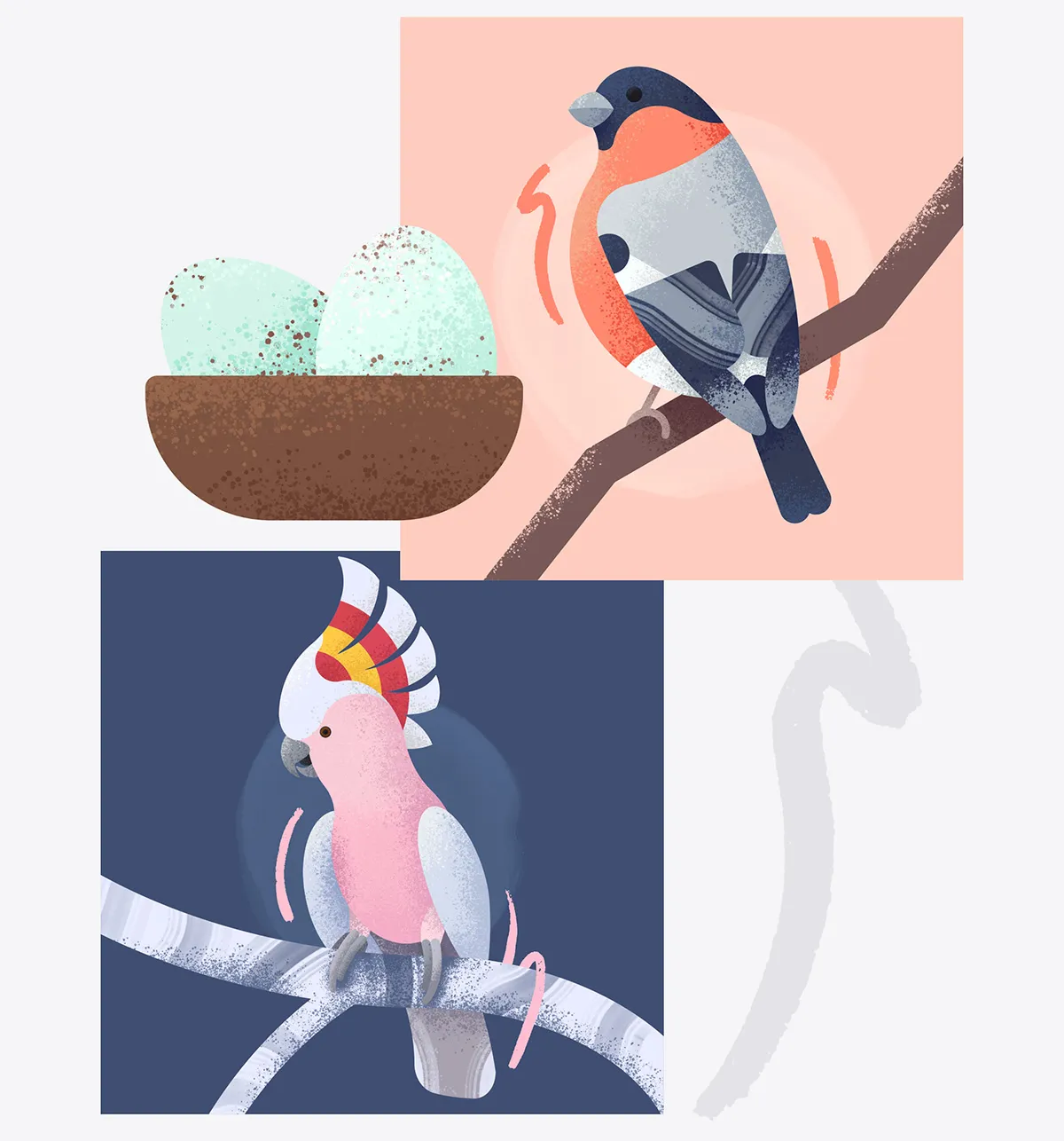 Stylised illustrations of a eurasian bullfinch, cockatoo and eggs in a nest