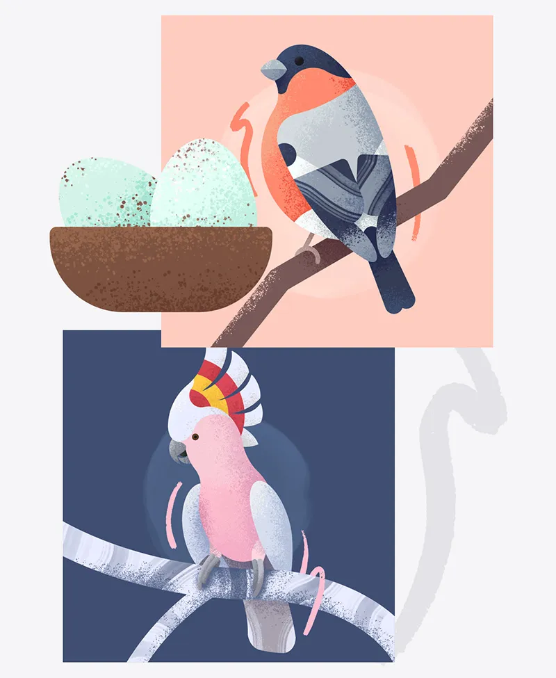 Stylised illustrations of a eurasian bullfinch, cockatoo and eggs in a nest